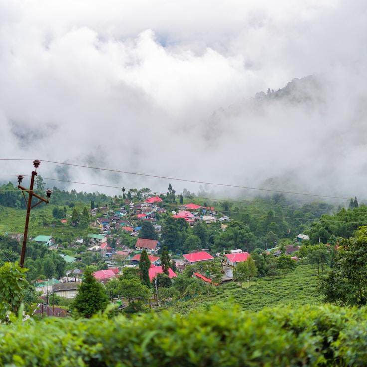 Outdoor terrace seating suitable for families in Toronto